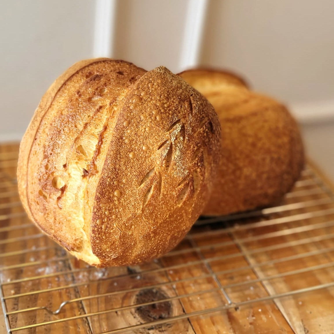 Sourdough Loaf